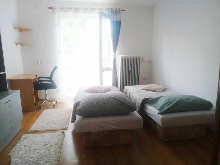 Prijemne Ubytovanie Apartment Caşonia Exterior foto
